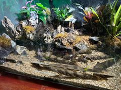 -太平洋海底世界