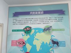 -派美特宠物医院·核磁CT·骨科肿瘤·疑难转诊(沈农禾丰店)