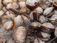 -苏格里岛自助烤肉海鲜火锅(成都金牛万达店)