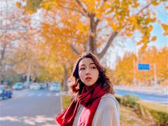 -三里屯东五街银杏大道