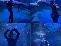 -烟台海昌鲸鲨海洋公园