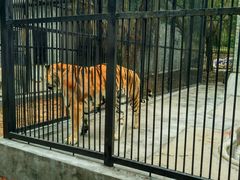 -广东茂名森林公园