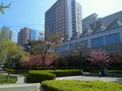 -青岛海尔洲际酒店