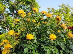 -河南省黄河迎宾馆