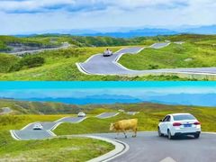 -赤水丹霞旅游区·大瀑布
