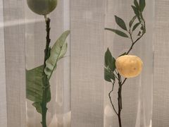 -广东中医药博物馆
