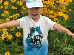 -永定河休闲森林公园