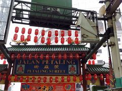 -罗汉果龙眼冰糖燉冬瓜