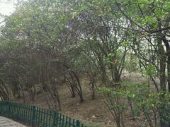 -西安市长乐公园