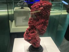 -上海中国航海博物馆