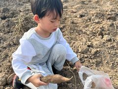-徐汇区新宜幼稚园