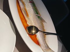 -醉庐·新上海菜(南京西路店)