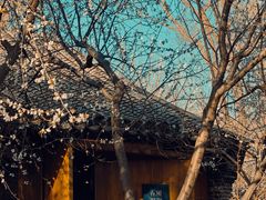 -三里河公园
