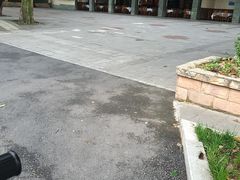 -明升萝卜汤