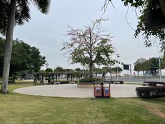-石炮台公园