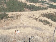 -东白山