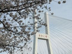 -上海南浦大桥长途旅游客运站