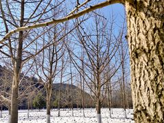 -长兴八都岕景区
