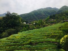 -石台牯牛降景区