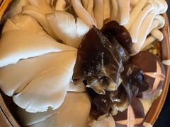 菌菇拼盘-盡膳口福·百年汤方火锅(科华北路店)