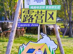 -迪卡侬(袁家岗店)