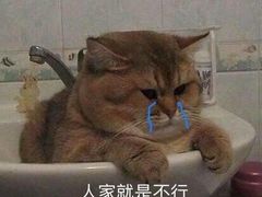-芜湖方特东方神画