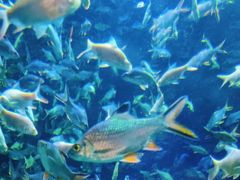 -成都浩海立方海洋公园