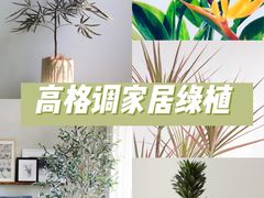 -研筑国际设计事务所(总店)