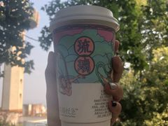 -茶颜悦色(岳麓山顶店)