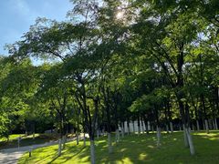 -长春世界雕塑园冰雪艺术天地