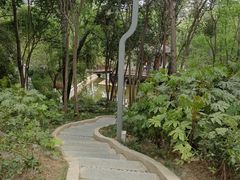 -西安市长乐公园