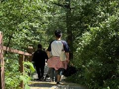 -叠溪松坪沟景区