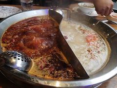 -红牌美蛙鱼头火锅(万辉国际广场店)