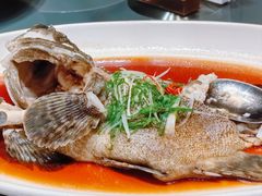 葱油石斑鱼-万盛合(渔人码头店)