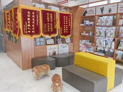 -可蒙动物医院·猫科·骨科中心(首义路店)