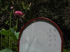 -上海醉白池公园