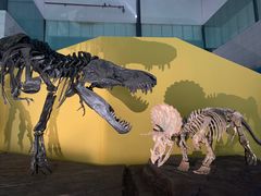 -湖南省地质博物馆