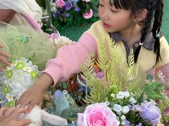 -灵玲国际马戏城