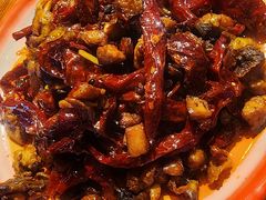 -柴窝堡22号辣子鸡·传承新疆菜