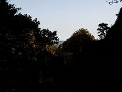 -大连天门山国家森林公园