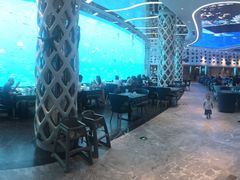 -瑞德姆美人鱼海底演艺主题餐厅(亚龙湾店)