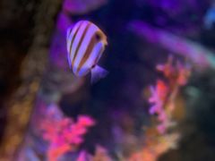 -沈阳海洋探索中心