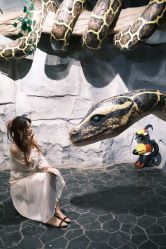 -Zoolung Zoolung动物主题公园(海信广场店)