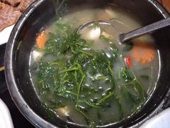 上汤枸杞苗-破店(井大店)