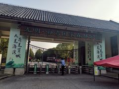 -上海海湾国家森林公园