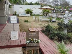 -椿Growth