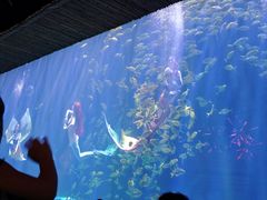 -华夏文旅海洋公园