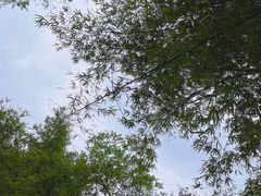 -竹海听涛生态山庄