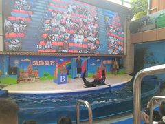 -成都浩海立方海洋公园