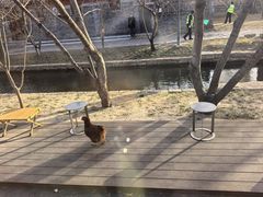 -春风习习